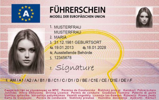 Deutscher Führerschein online